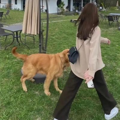 突变